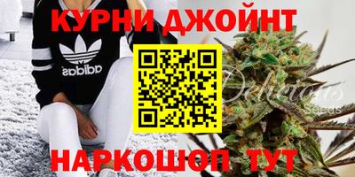 крисы Кинель