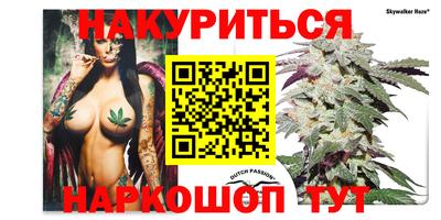 крисы Кинель